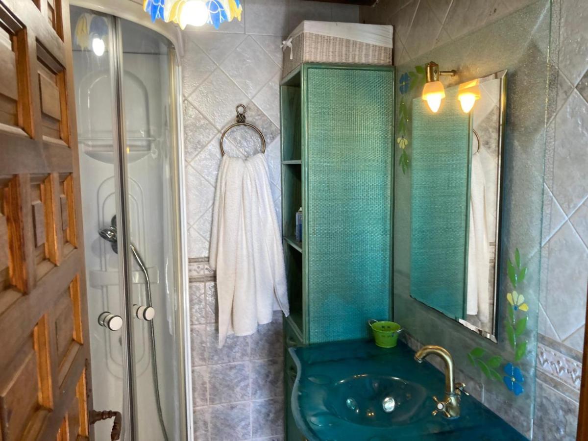 Casa Rural Neira Almenara de Tormes エクステリア 写真